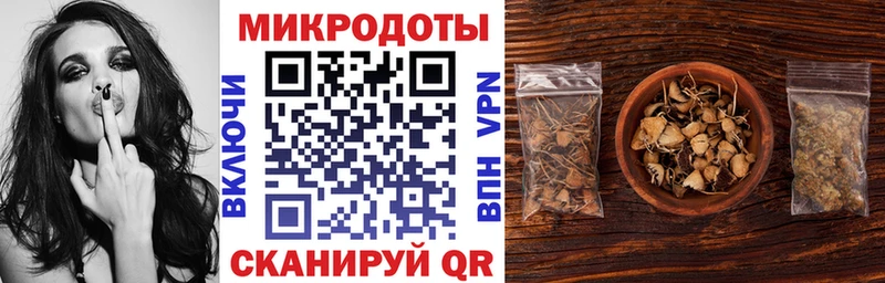 Псилоцибиновые грибы Cubensis  кракен маркетплейс  Волгоград 